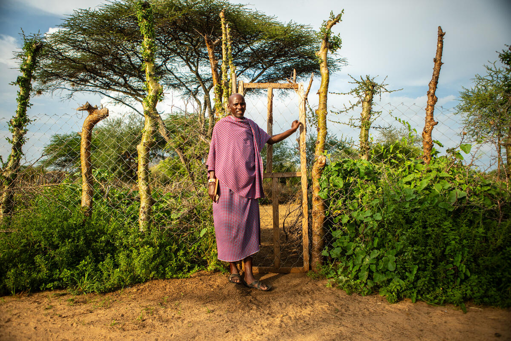 A man stood infront of his living wall boma (trees and a natural fence)